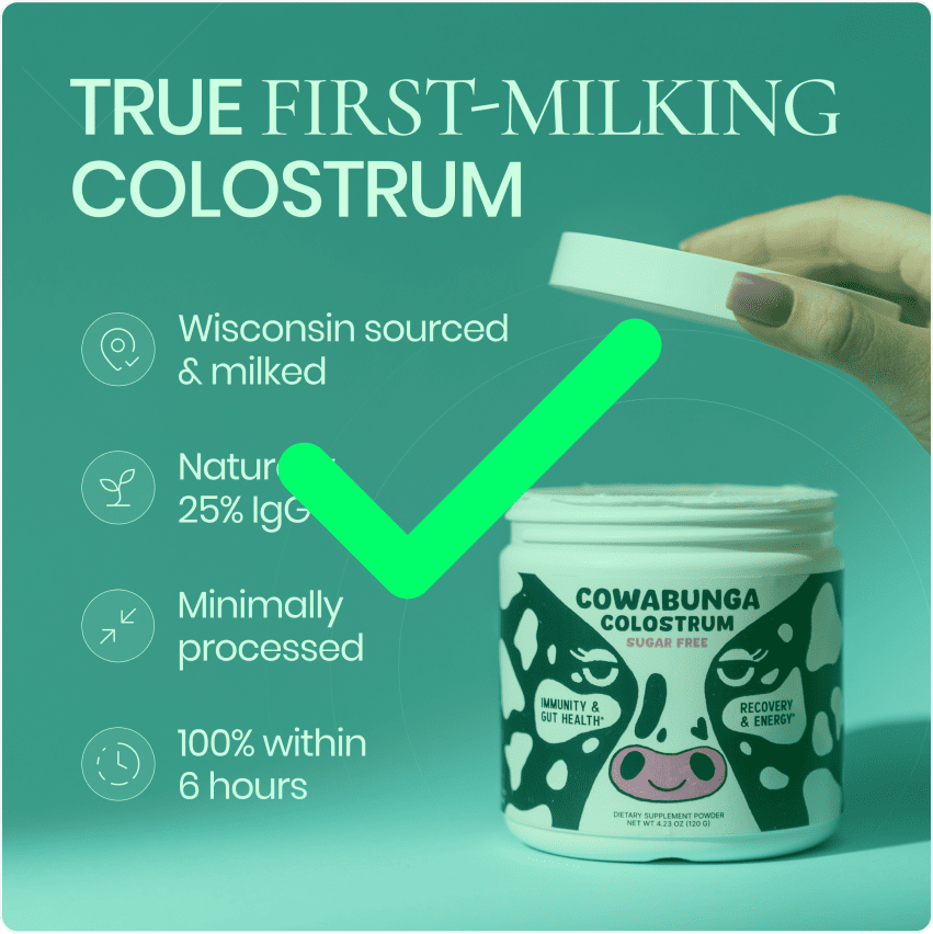 image-optimization-img-5