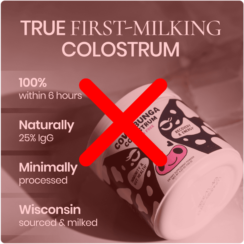 image-optimization-img-6