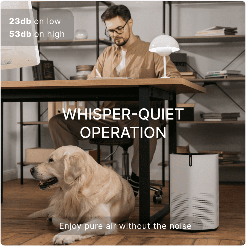 image-optimization-img-9